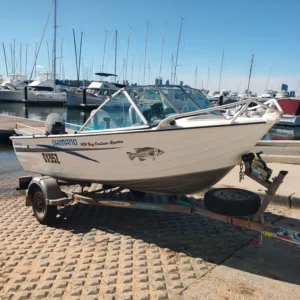 2008 Savage 420 bay cruiser sport